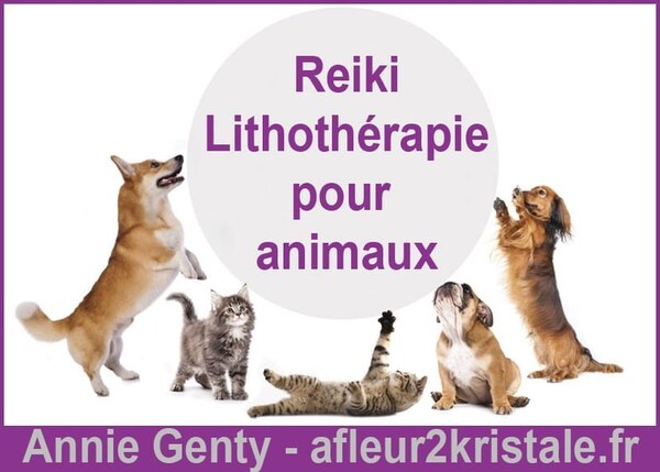 Annie Genty, Reiki et lithothérapie pour animaux