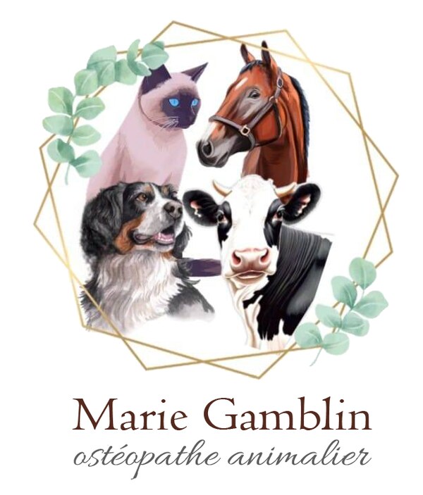 Marie Gamblin, ostéopathe animalier